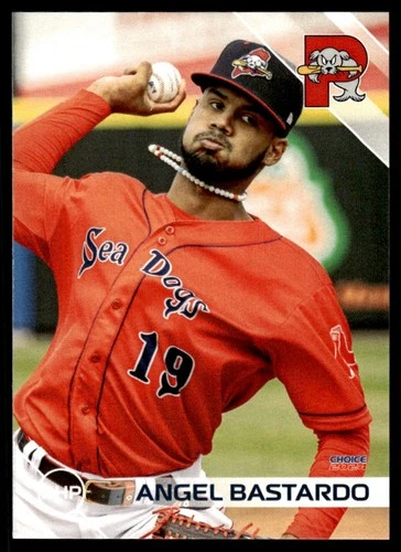 Angel Bastardo - 2024 Choice Liga Menor Pre Rookie